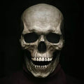 Movable Jaw Realistic Full Head Skull Mask for Halloween