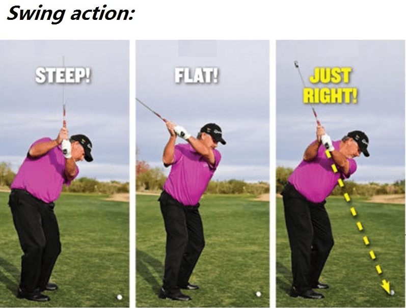 Laser Swing Path Trainer with Grip Clip Mount and Real Time Beam  Projection