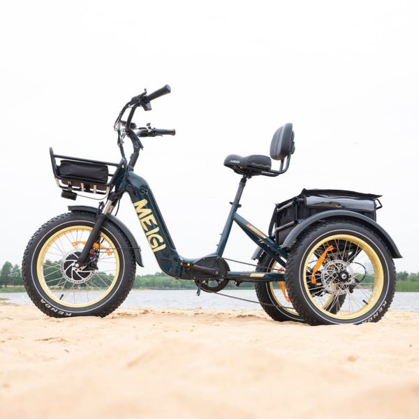 20-Inch 48V 750W Foldable Fat-Tire Electric Trike, 330-Lb. Capacity