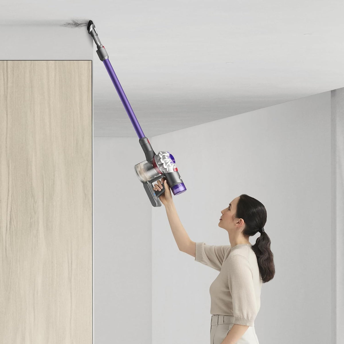 V8 Cordless Vacuum Cleaner