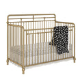 Little Seeds Monarch Hawken Convertible