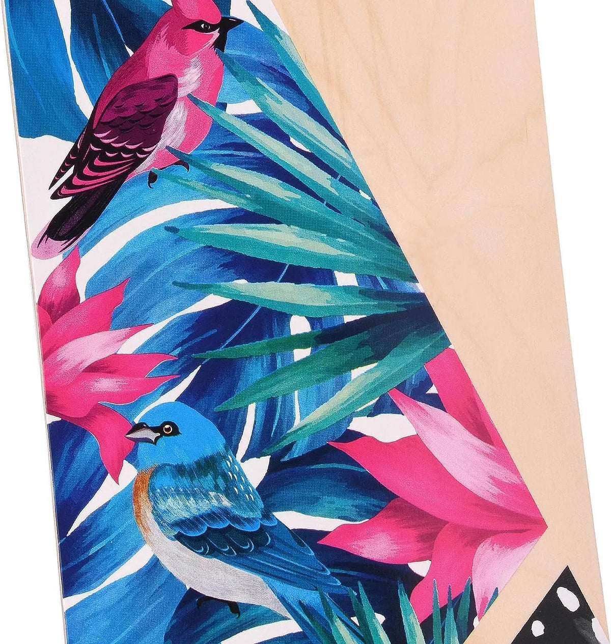 Slendor Longboard Skateboard 42 inch Drop Through Deck Complete Maple Cruiser Freestyle, Camber Concave