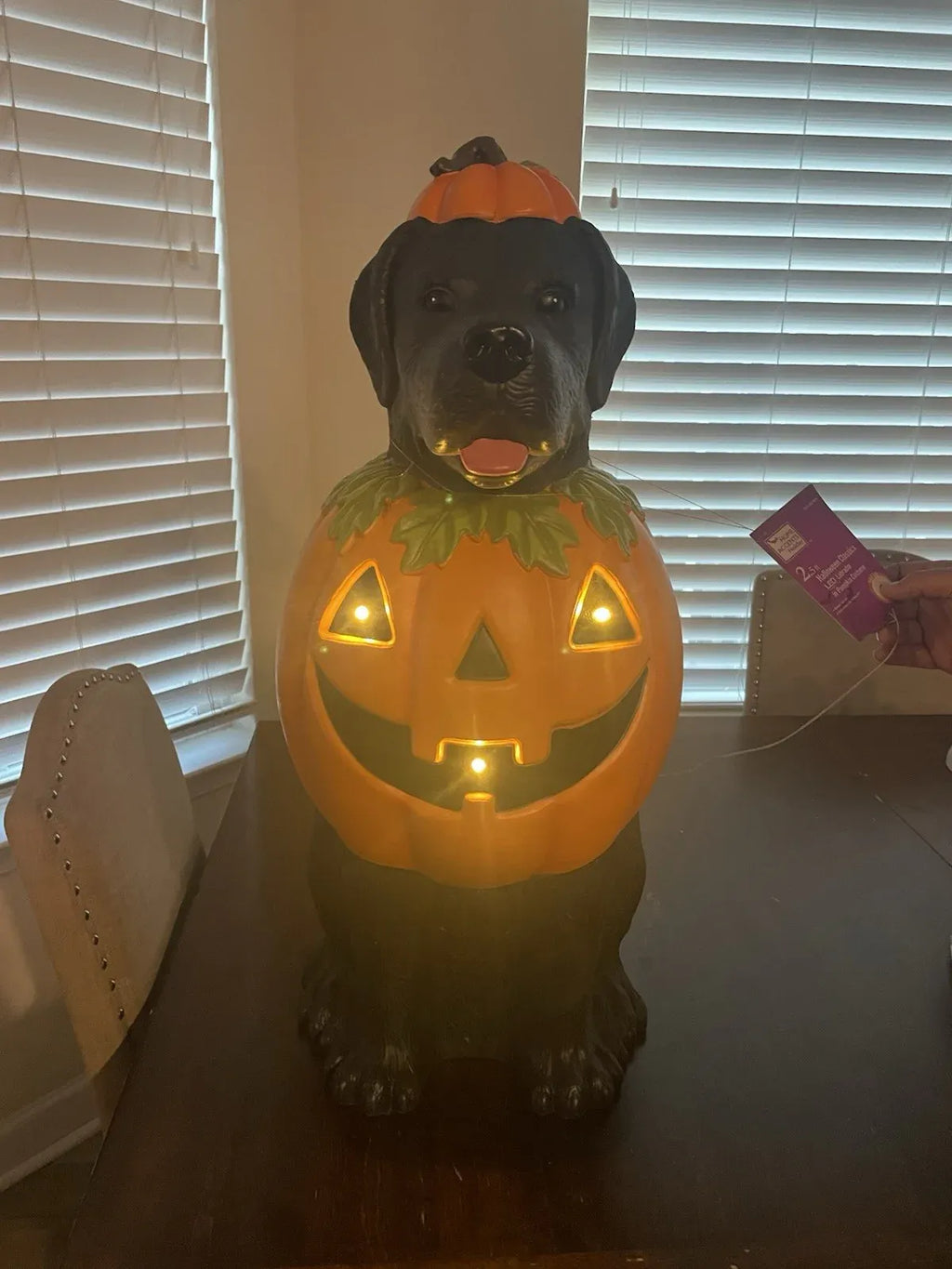 Black Labrador Halloween Dog with Pumpkin Costume LED Home Depot 2.5 Ft NEW