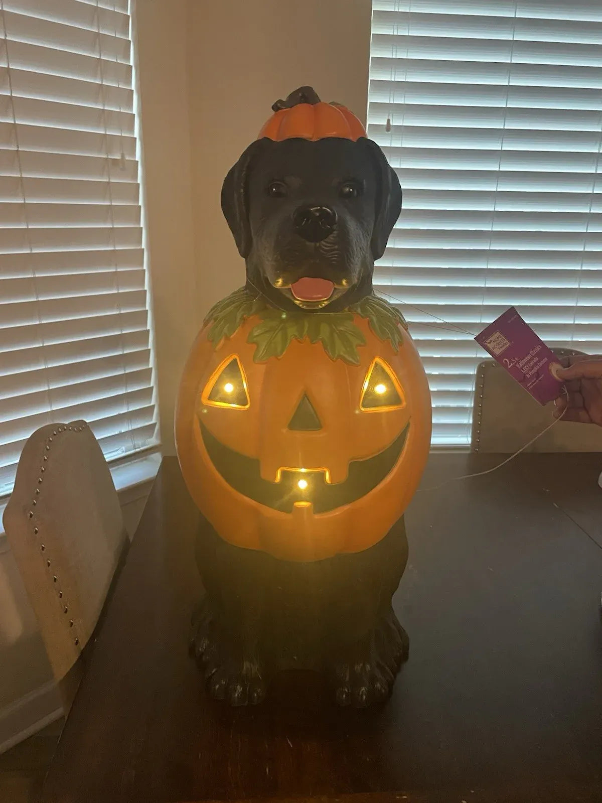 Black Labrador Halloween Dog with Pumpkin Costume LED Home Depot 2.5 Ft NEW