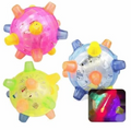 Interactive LED Jumping Activation Ball for Dogs