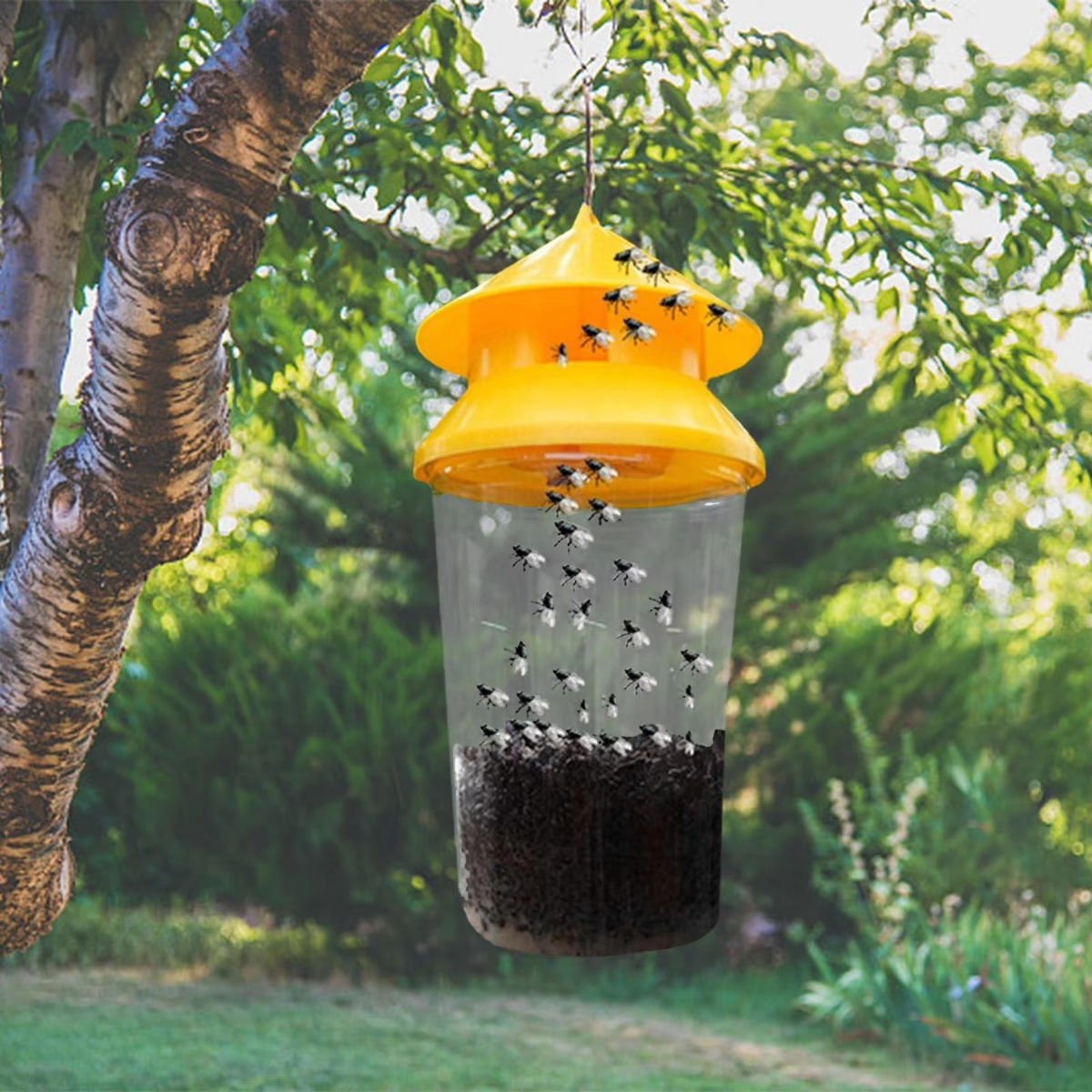 Outdoor Reusable Fly Trap for Patios, Gardens, and Backyards