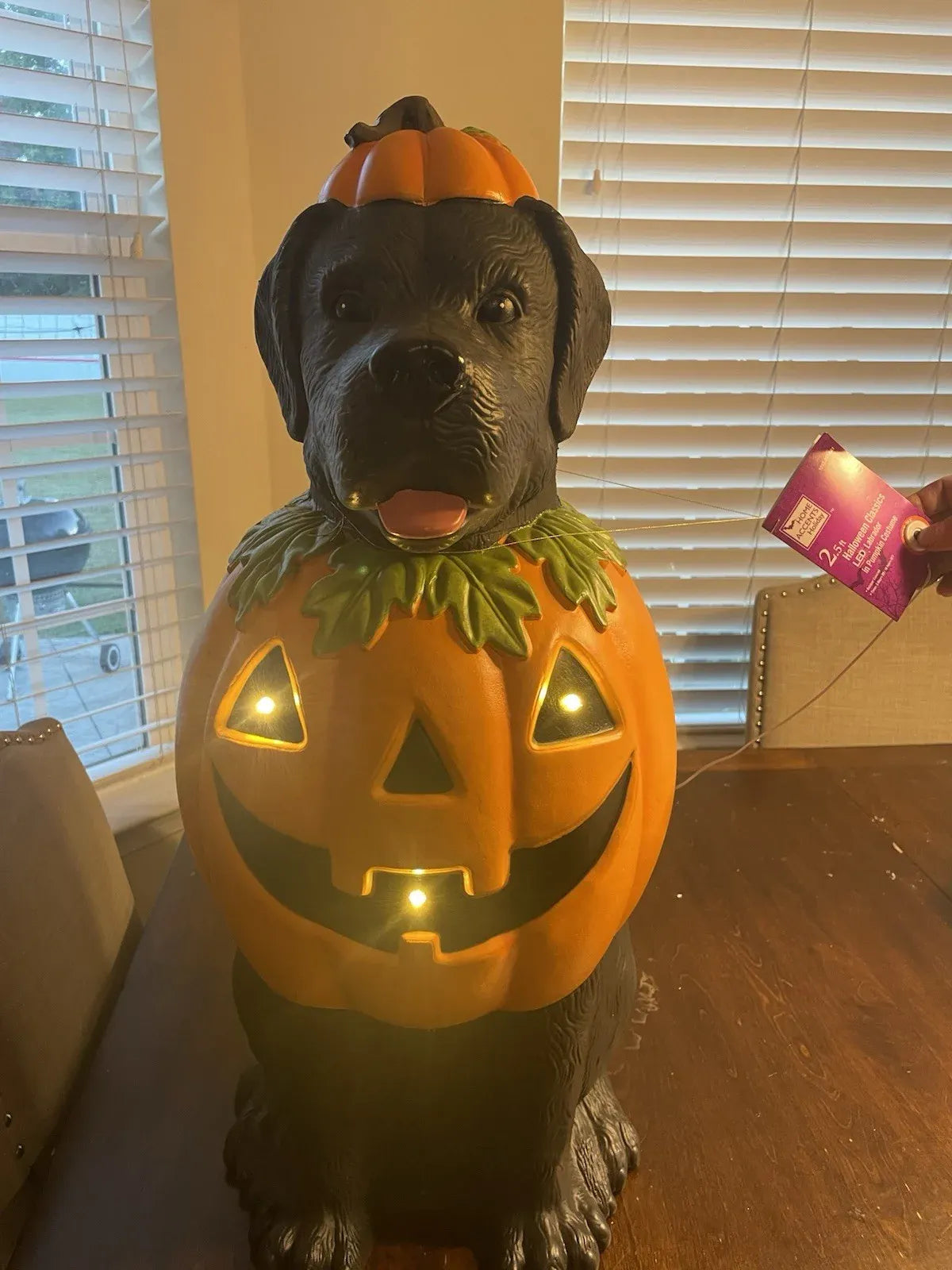 Black Labrador Halloween Dog with Pumpkin Costume LED Home Depot 2.5 Ft NEW