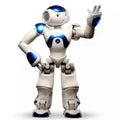 Humanoid Robot with Lifelike Motion and Dual Cameras, Remote Control