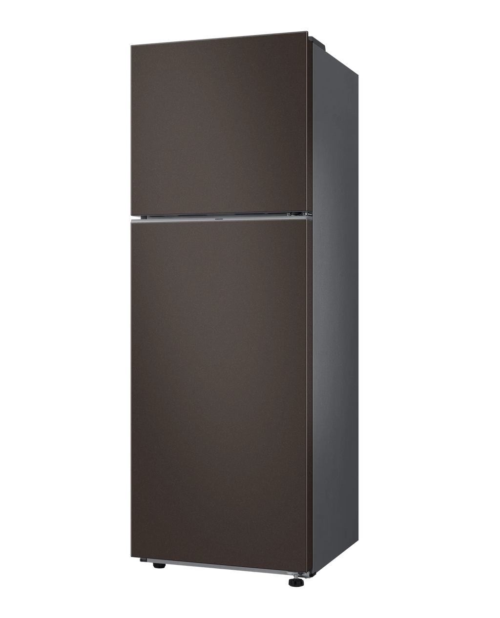 10.8 Cu. Ft. Top-Freezer Refrigerator Inverter with Practical Storage