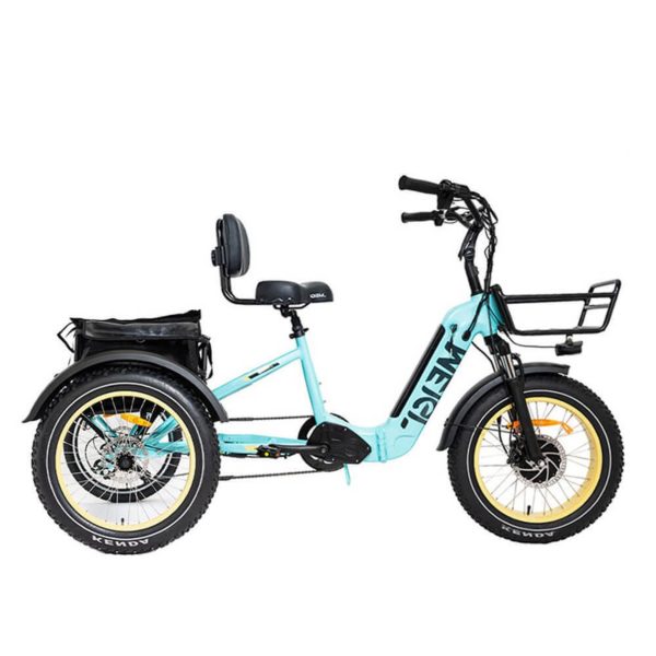 20-Inch 48V 750W Foldable Fat-Tire Electric Trike, 330-Lb. Capacity