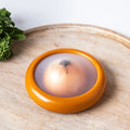 Produce Storage Container with Flexible Stretch Lid and Rounded  Shape