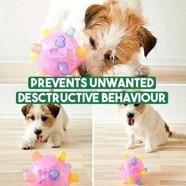 Interactive Jumping Activation Ball for Dogs – Automatic Movement Toy