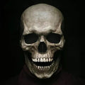 Movable Jaw Realistic Full Head Skull Mask for Halloween, Cosplay, and Haunted Events