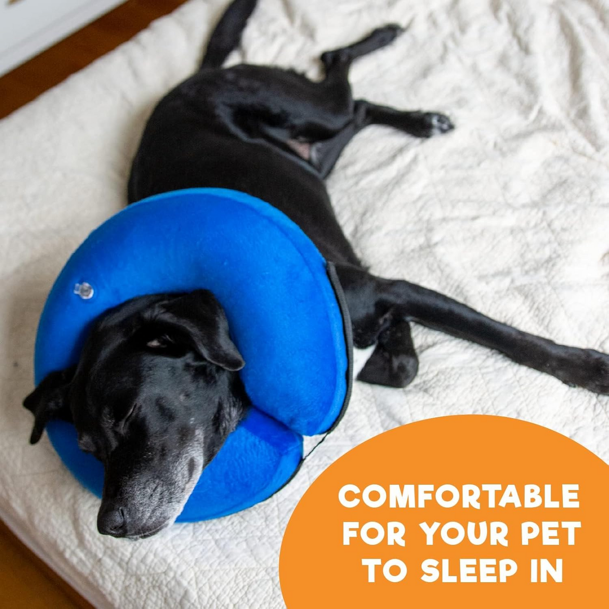 Inflatable Pet Cone Collar with Inner Loop and Adjustable Air Valve, Large