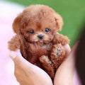 Interactive Robotic Puppy Toy Smart Walking and Barking Dog