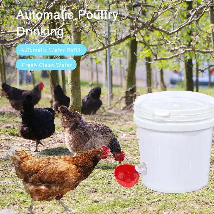 Premium 10 Pcs Chicken Waterer, High Quality Farm Supply Kit