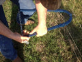 Manual Fence Wire Tensioning and Repair Tool for Farm and Field Use