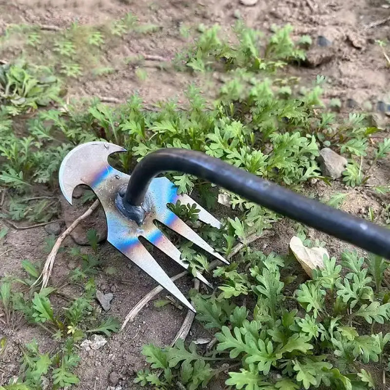 Long Handle Weeder with Precision Claw Head and Cushioned Grip