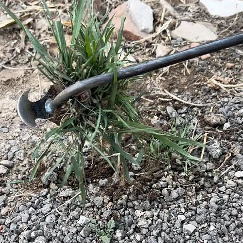 Long Handle Weeder with Precision Claw Head and Cushioned Grip