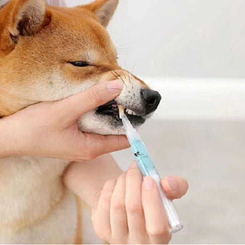 Pet Teeth Cleaning Formula, Natural Oral Care for Stain Removal and Gum Health