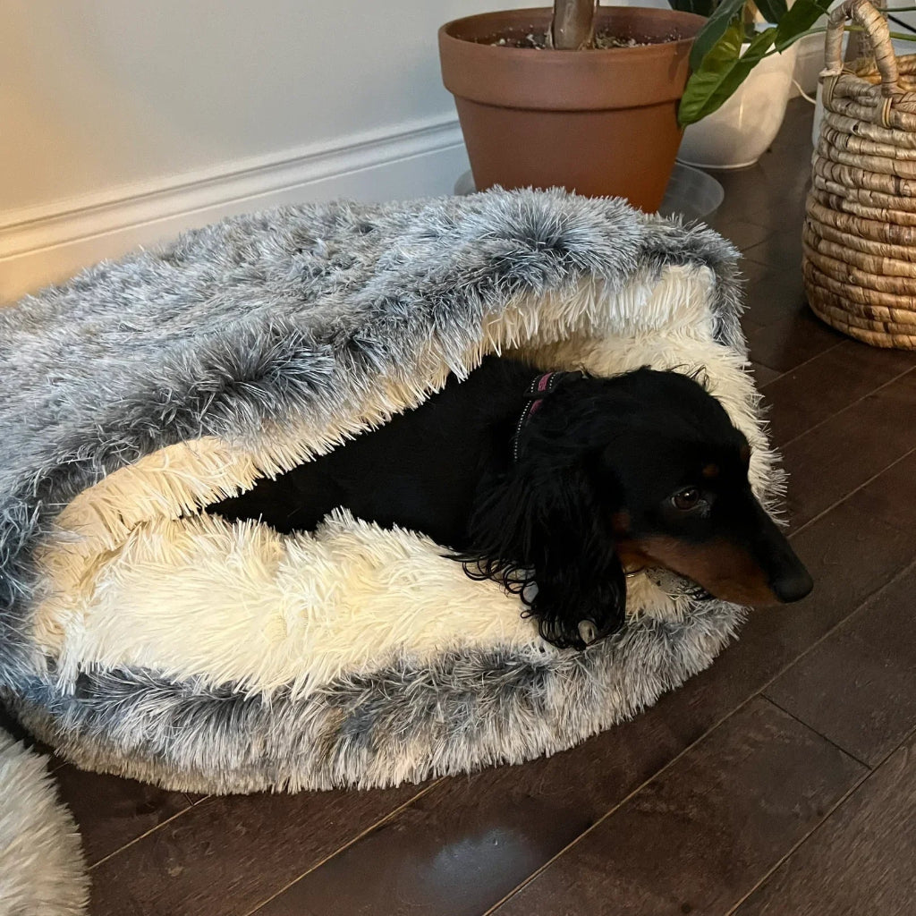 Pet Cave Bed with Plush Interior and Half Covered Design for Cats, Small Dogs
