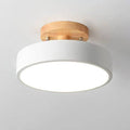 Modern Flush Mount LED Ceiling Light with Adjustable Color Temperature